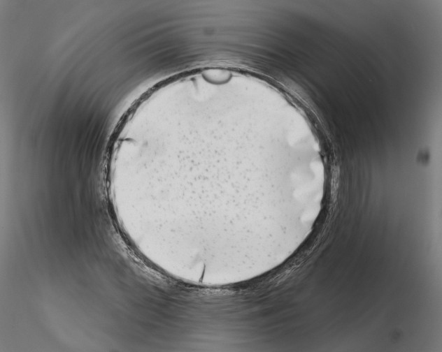 X0000114691068200912021039