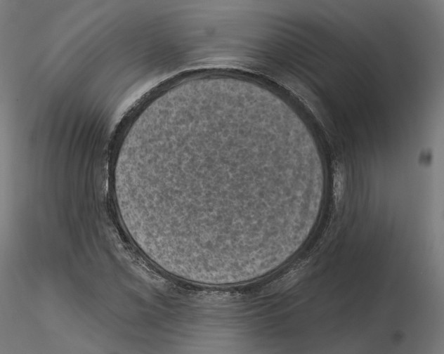 X0000114691069200912021039