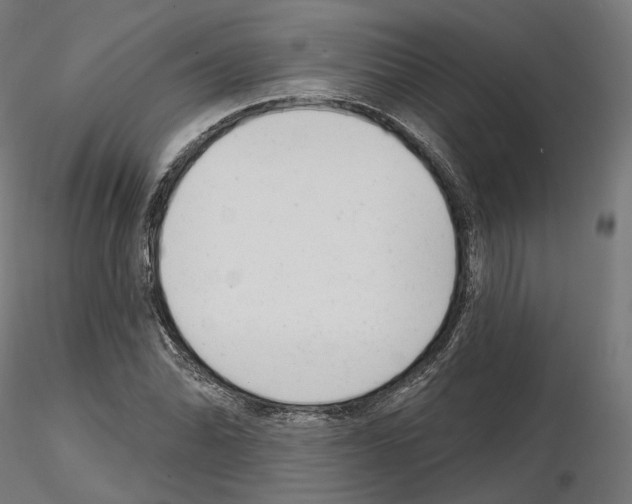 X0000114691070200912021039