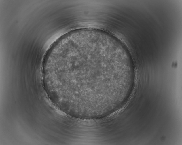 X0000114691071200912021039