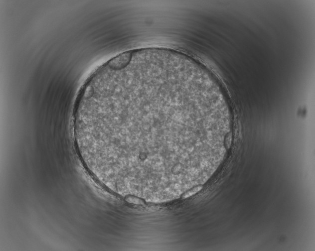 X0000114691072200912021039
