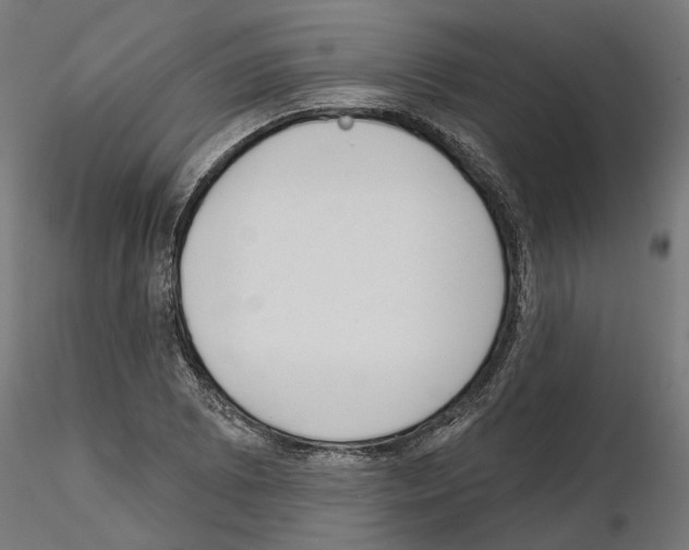 X0000114691073200912021039