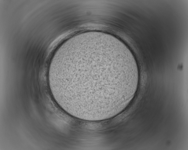 X0000114691074200912021039