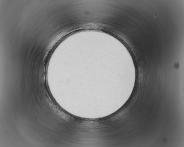 X0000114691075200912021039