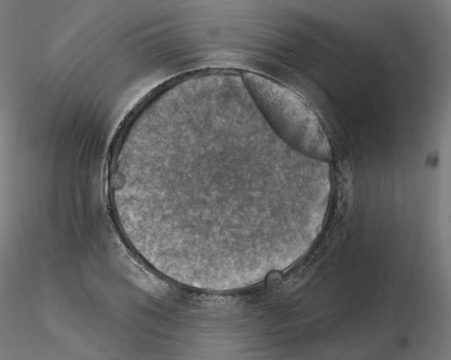 X0000114691076200912021039