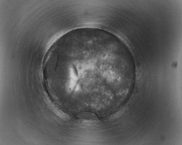 X0000114691077200912021039