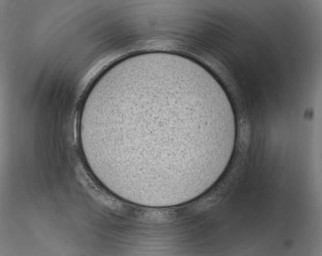 X0000114691078200912021039