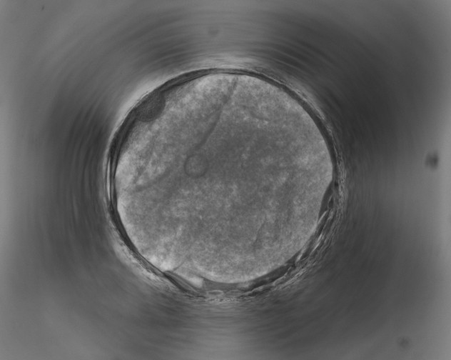 X0000114691080200912021039