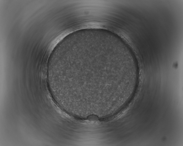 X0000114691081200912021039