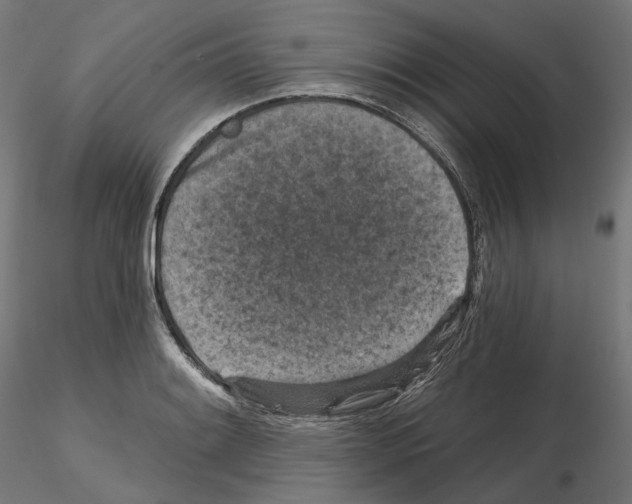 X0000114691084200912021039