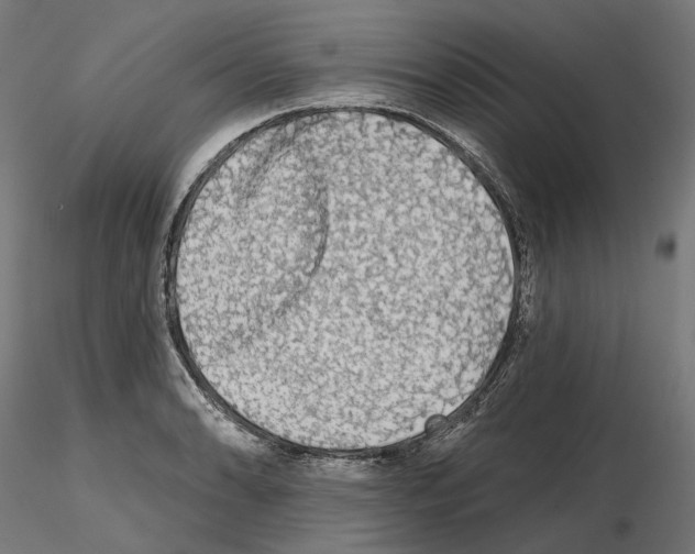 X0000114691086200912021039