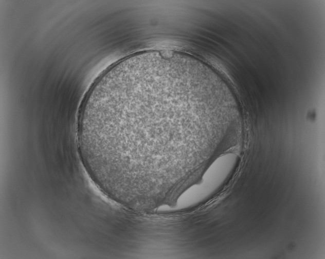 X0000114691087200912021039