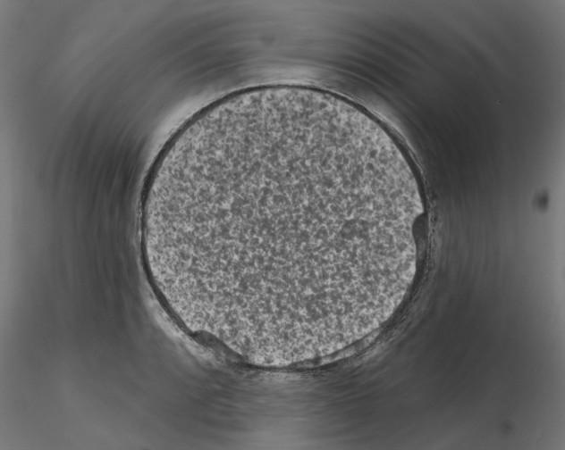 X0000114691088200912021039