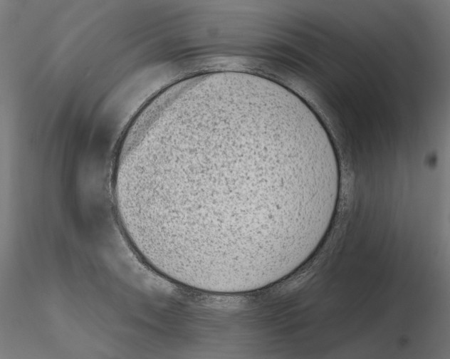 X0000114691090200912021039