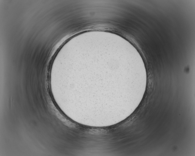 X0000114691091200912021039