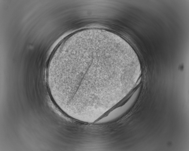 X0000114691092200912021039