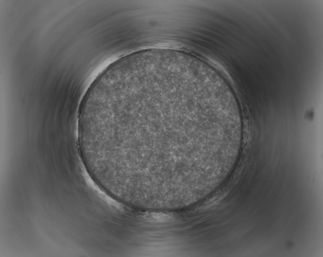 X0000114691095200912021039