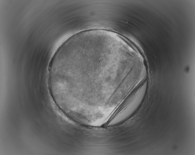 X0000114691096200912021039