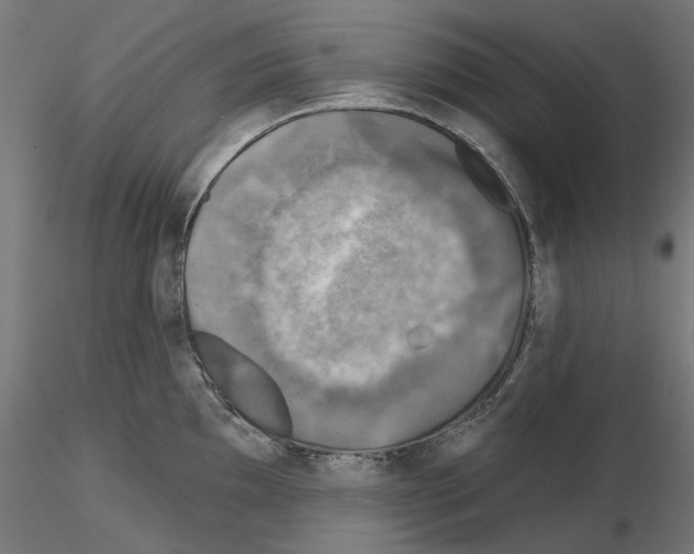 X0000114691097200912021039