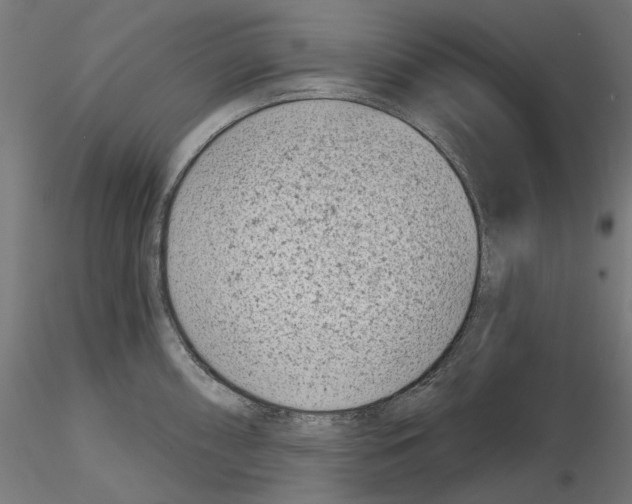 X0000114691098200912021039