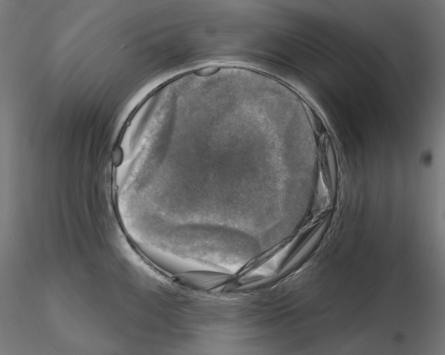 X0000114691100200912021039