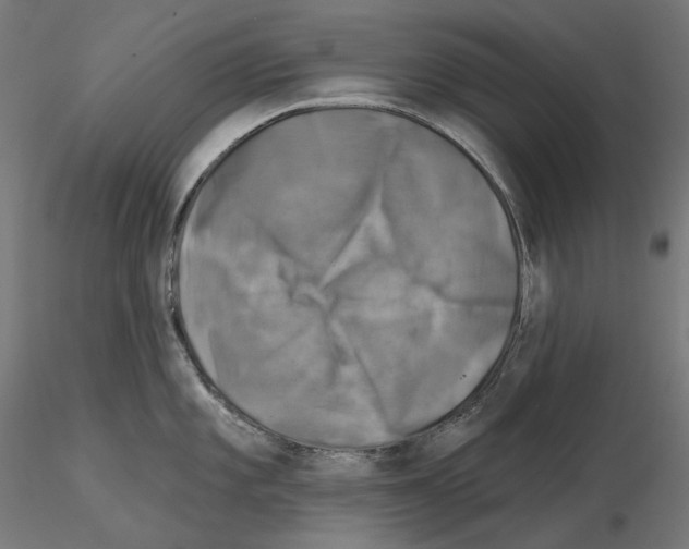 X0000114691101200912021039
