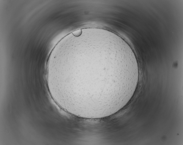 X0000114691103200912021039