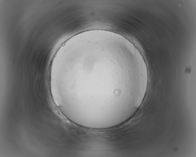 X0000114691104200912021039