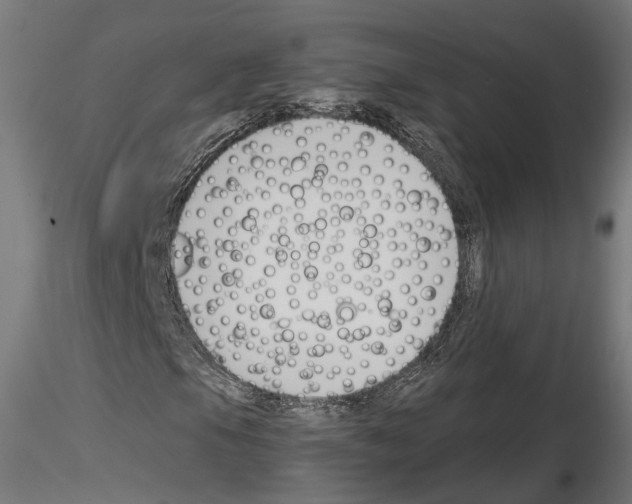 X0000114691105200912021038