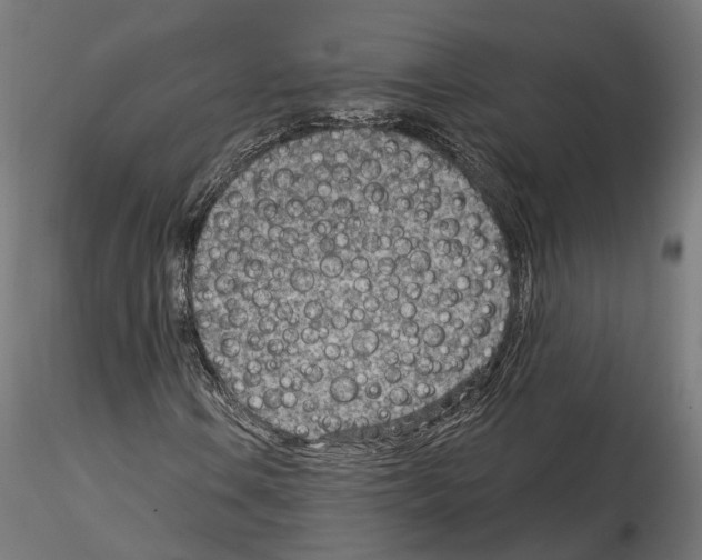X0000114691106200912021038