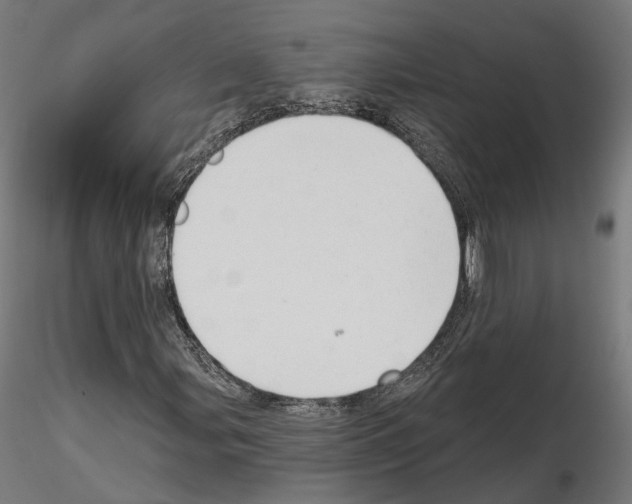 X0000114691107200912021038
