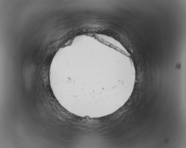 X0000114691109200912021038