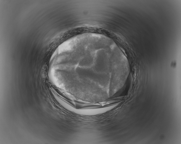 X0000114691110200912021038