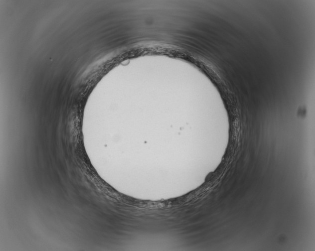 X0000114691111200912021038