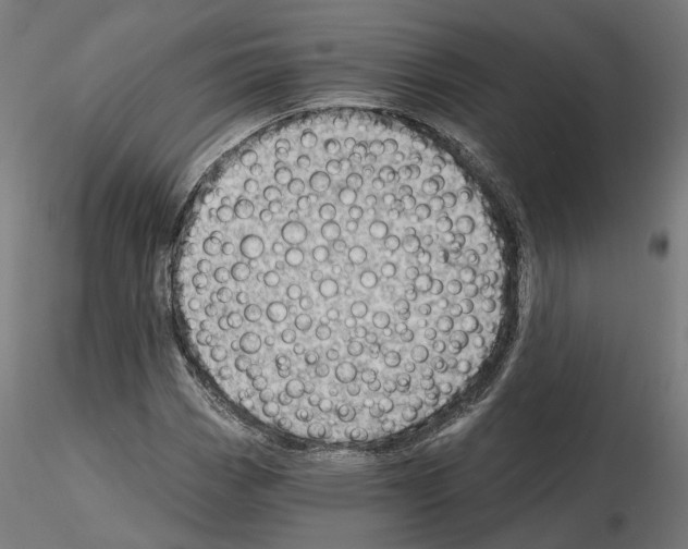 X0000114691113200912021038
