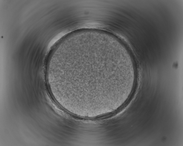 X0000114691114200912021038