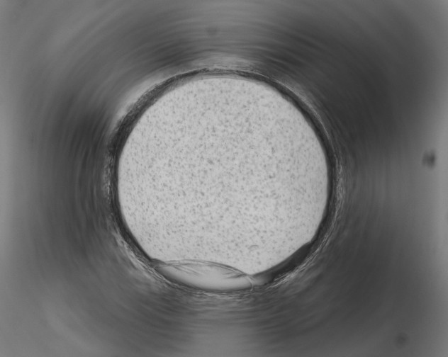 X0000114691115200912021038