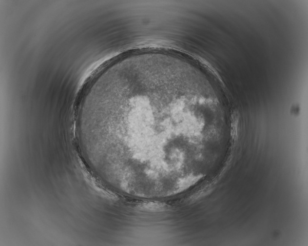 X0000114691117200912021038