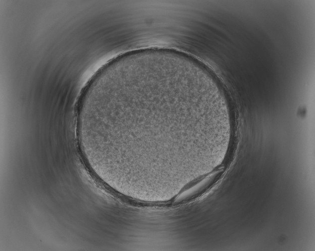 X0000114691118200912021038
