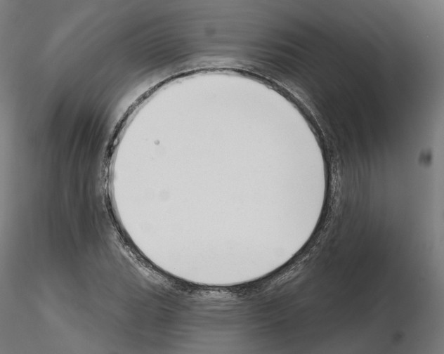X0000114691119200912021038