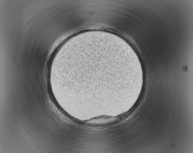 X0000114691122200912021038