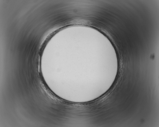 X0000114691123200912021038
