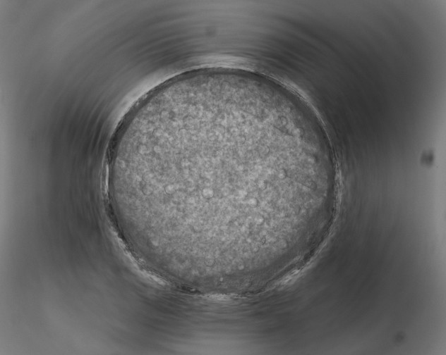 X0000114691125200912021038