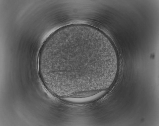 X0000114691127200912021038