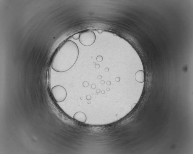 X0000114691130200912021038