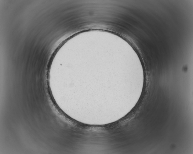 X0000114691133200912021038