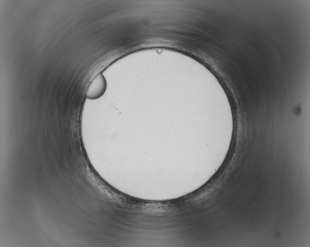 X0000114691137200912021039