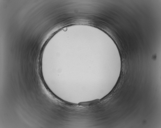 X0000114691139200912021039