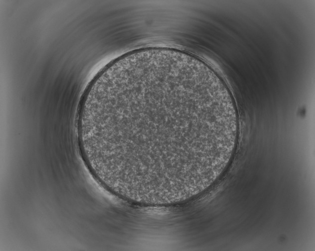 X0000114691141200912021039