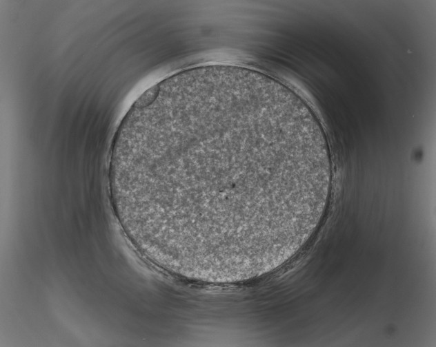 X0000114691146200912021039